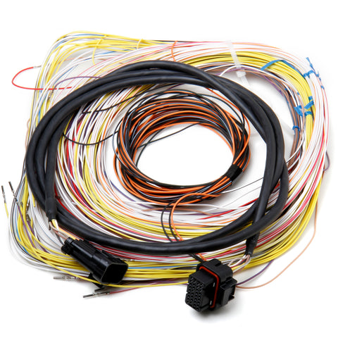 558-401.jpg