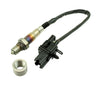 AEM30-2063.jpg