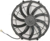 AFC80177.jpg