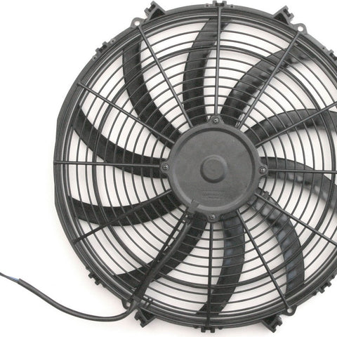 AFC80177.jpg