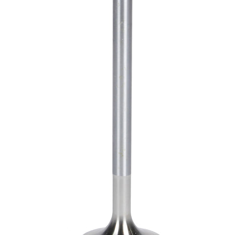 AFR7228-1.jpg