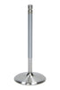 AFR7254-1.jpg