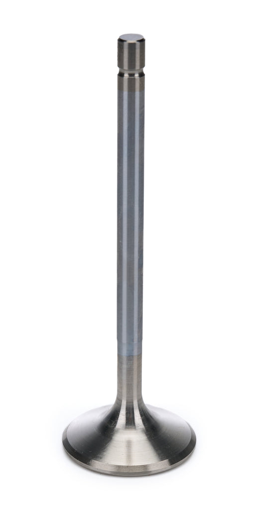 AFR7268-1.jpg