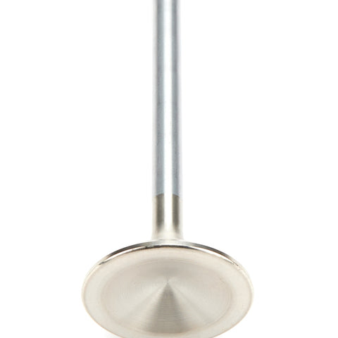 AFR7553-1.jpg
