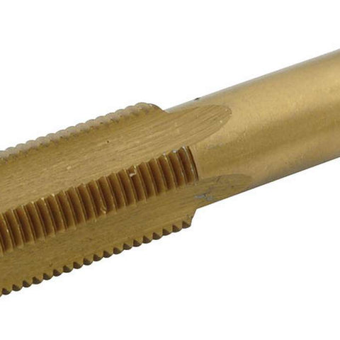 ALL11069.jpg
