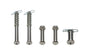 ALL17012.jpg
