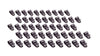 ALL18311-50.jpg