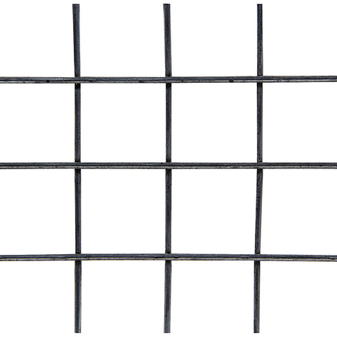 ALL22276.jpg