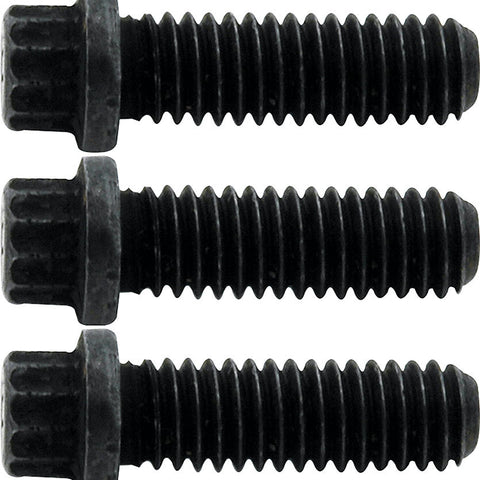 ALL31037.jpg