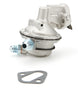 ALL40266.jpg