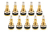 ALL44164-10.jpg