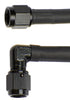 ALL48407.jpg