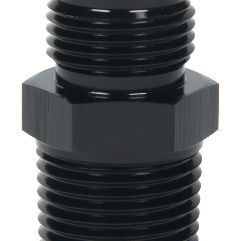 ALL49507.jpg