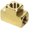 ALL50139.jpg
