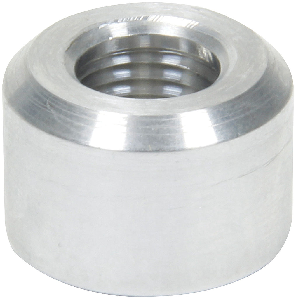 ALL50740.jpg