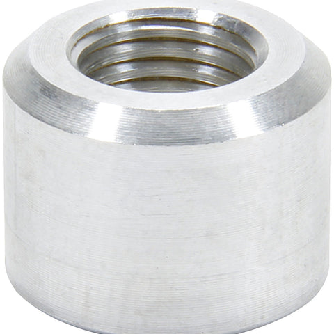 ALL50781.jpg