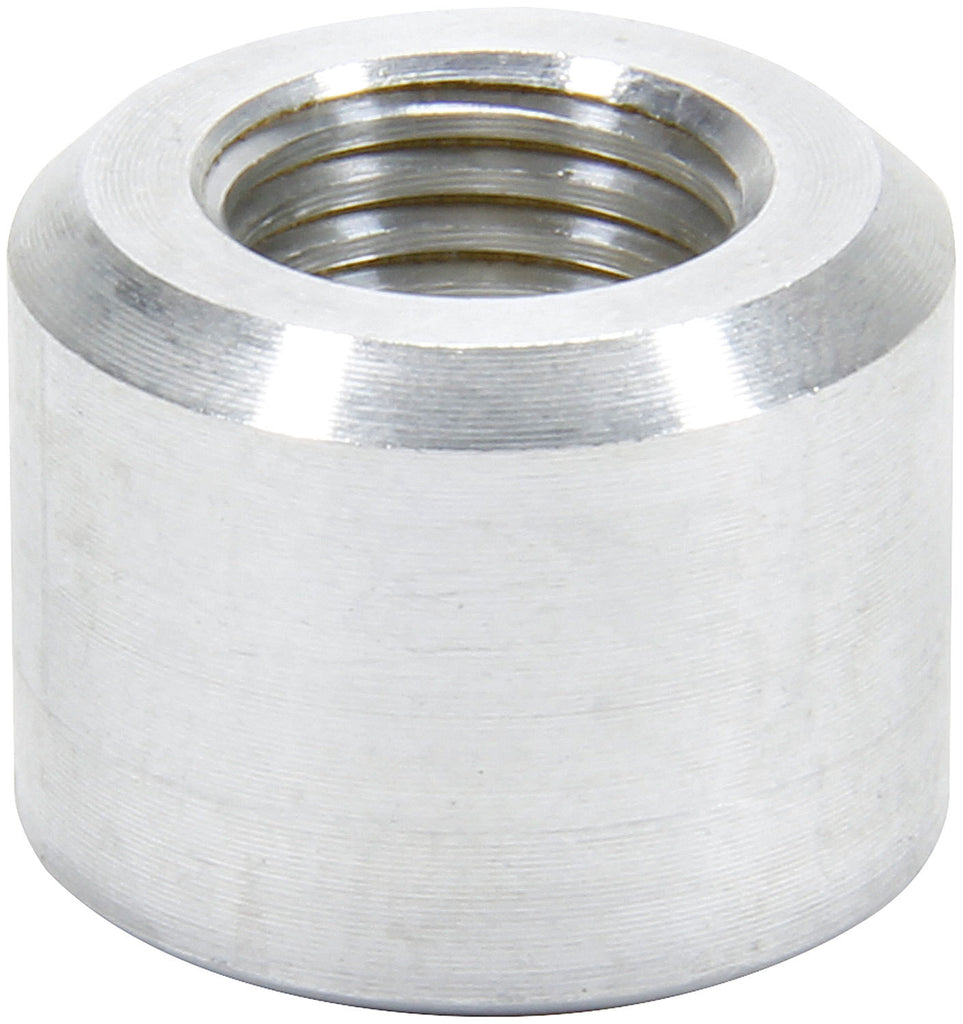 ALL50782.jpg