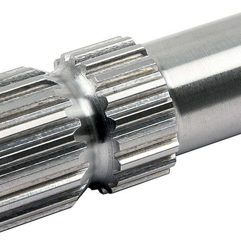 ALL52305.jpg