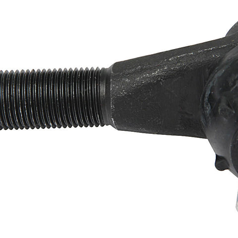 ALL55901.jpg