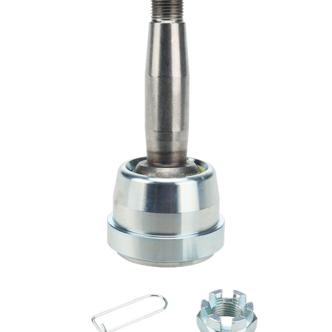 ALL56029.jpg