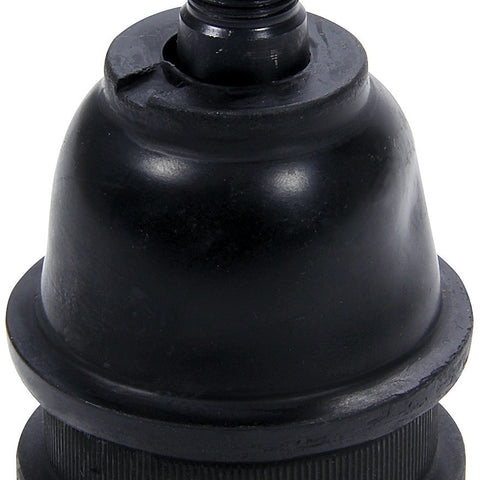 ALL56206.jpg