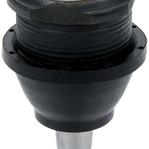 ALL56214.jpg