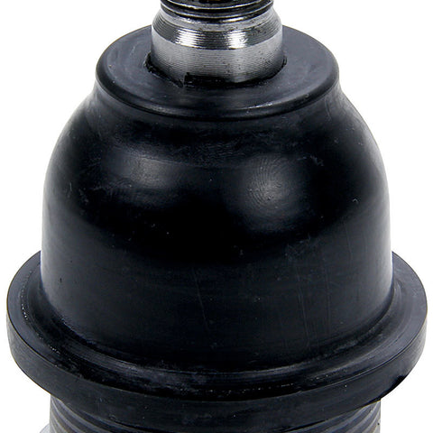 ALL56216.jpg