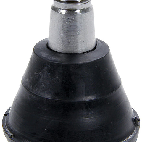 ALL56217.jpg