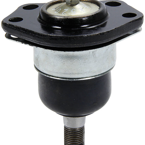 ALL56220.jpg