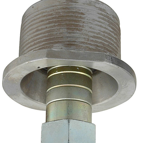 ALL56270.jpg