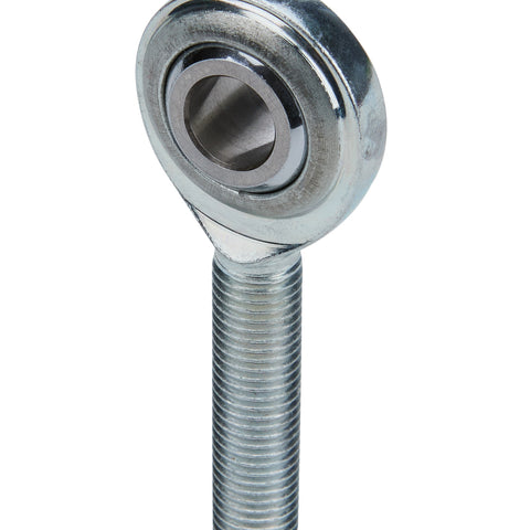 ALL58015.jpg