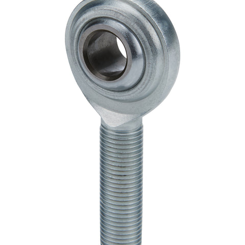 ALL58016.jpg