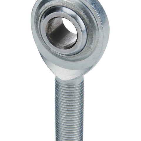 ALL58018.jpg