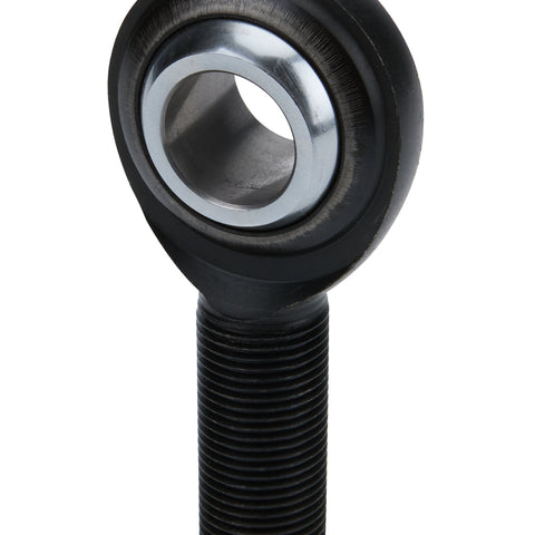 ALL58082.jpg