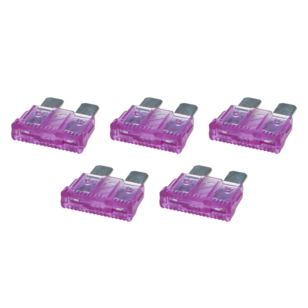 ALL76362.jpg