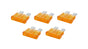 ALL76363.jpg