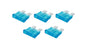 ALL76366.jpg