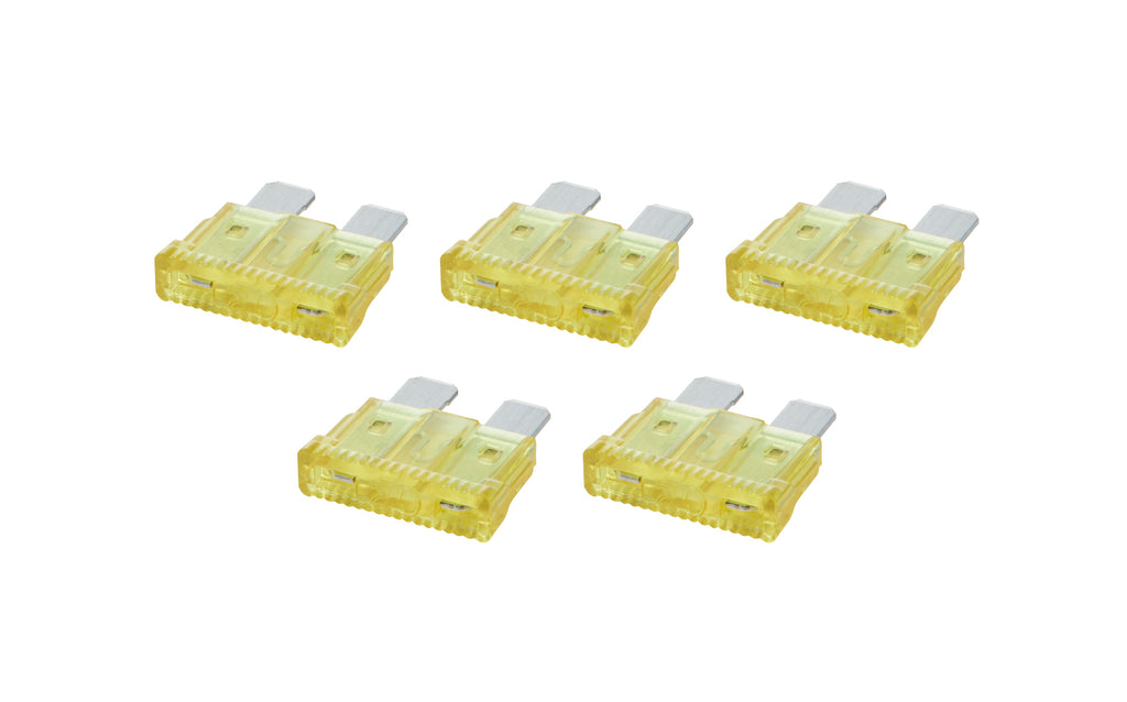 ALL76367.jpg