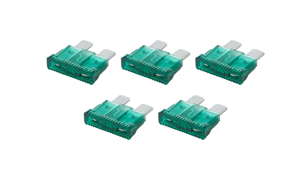 ALL76369.jpg