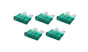 ALL76369.jpg