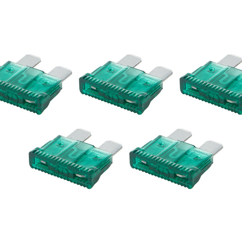ALL76369.jpg