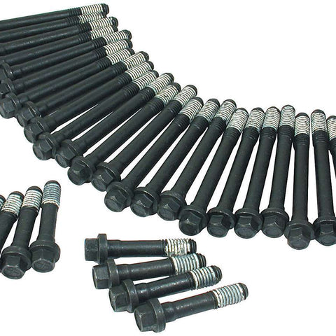 ALL87002.jpg