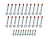 ALL87005.jpg
