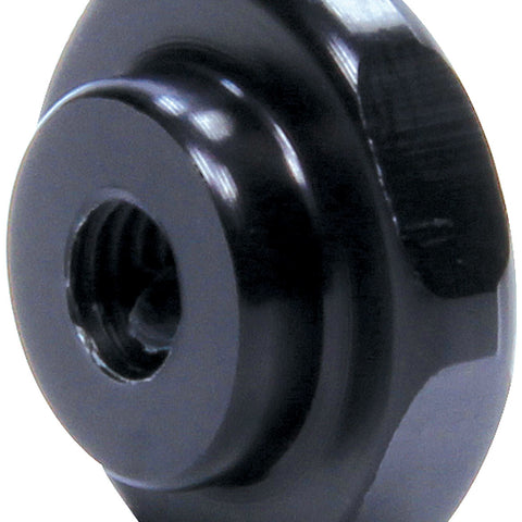 ALL99384.jpg