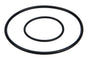 ALL99446.jpg
