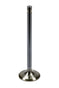 BROBR60154.jpg