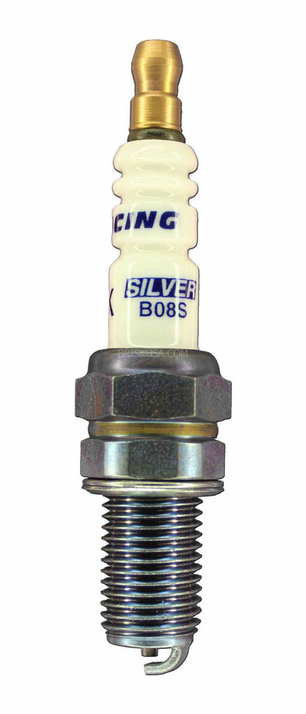 BSKB08S.jpg