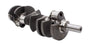 CALAPO-31V-AS.jpg