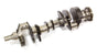 CALSAG113-CM.jpg