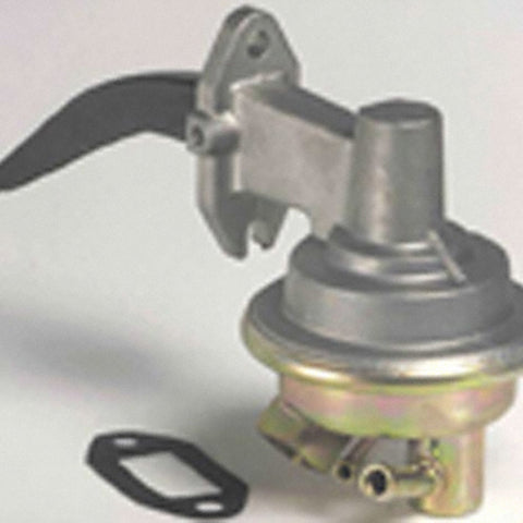 CARM6109.jpg